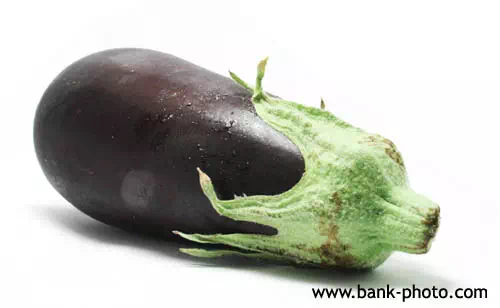 Aubergine allongée