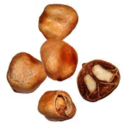 graines de marula