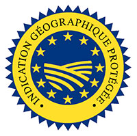 Logo IGP