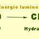 réaction de la photosynthèse