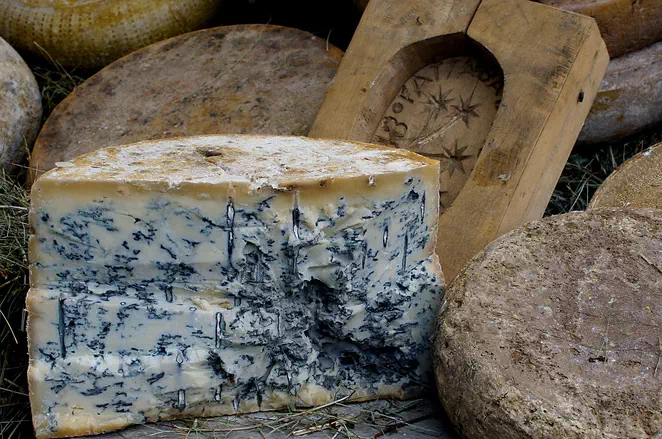 Fromage à pâte persillée