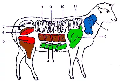 Les morceaux de viande du mouton