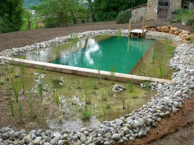 piscine écologique